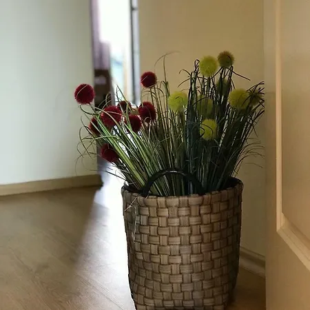 Apartamento Mere *